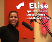 Video aus der LegaKids-Werkstatt: Elise und die Lürslein Elise und die Lürslein